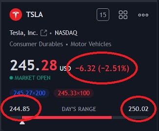 tsla 8223.jpg