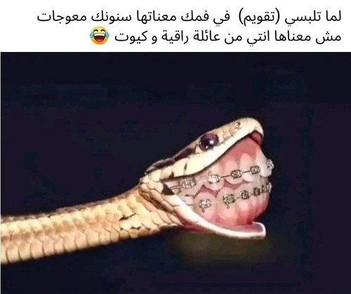 1695958718311.jpg