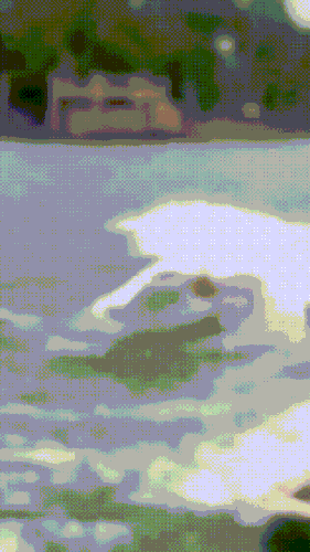 video 2023 10 02 00 50 14.gif