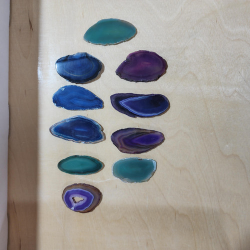 cropped 16962030812502607294104139376266.jpg