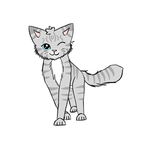 IMG 5264.png