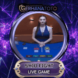hioi fight.gif
