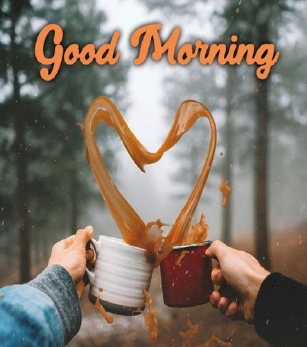 morning4.jpg