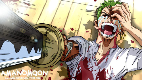 one piece special boichi crossover zoro mihawk by amanomoon ddc2uen fullview.jpg