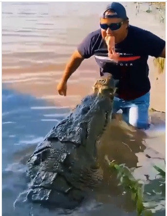 croc man mouth meat.jpg