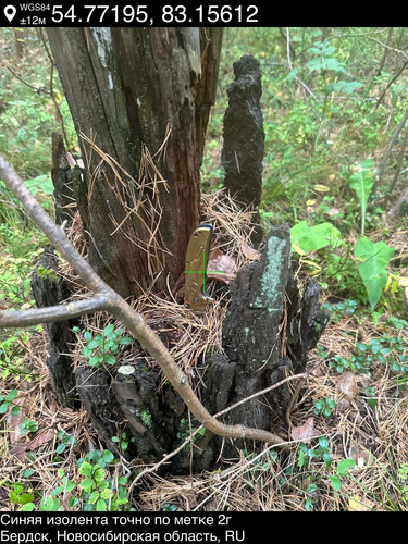 19.jpg