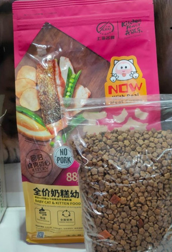 KITTEN REPACK (2).jpg