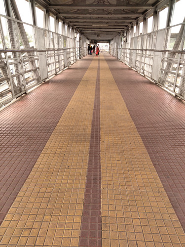 IMG20230920131605.jpg