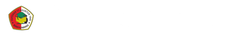 logo sts.png