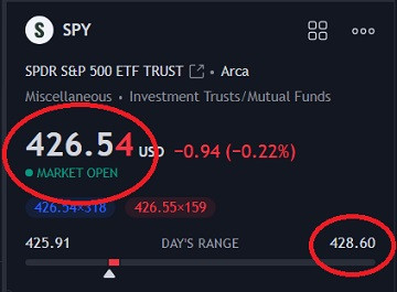 tsla 8223.jpg