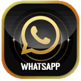 WHATSAPP DINASTOTO.gif