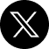x icon.png