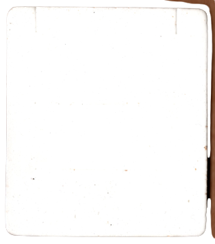 29.png