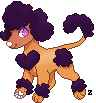 IMG 1552.png
