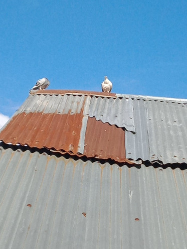 IMG 20230907 160140032.jpg