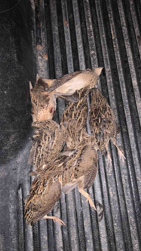 134556B5 3031 4920 97BA 55AA45C88E0B.jpg