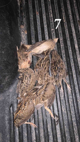 42CF1D45 00B1 4222 9A77 B9F7D1EF9DA1.jpg