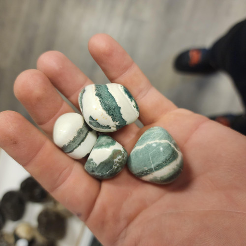 cropped 16963800477736365969800172415087.jpg