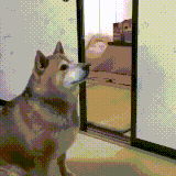 nyt sita ruokaa heti.gif