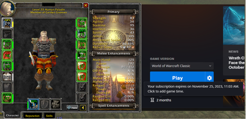 PaladinHC.png