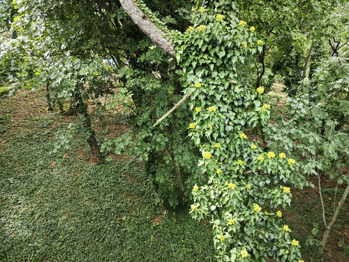 IMG 20230930 113329.jpg