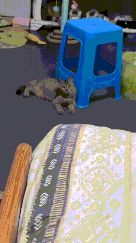 228184139232189189 1.gif