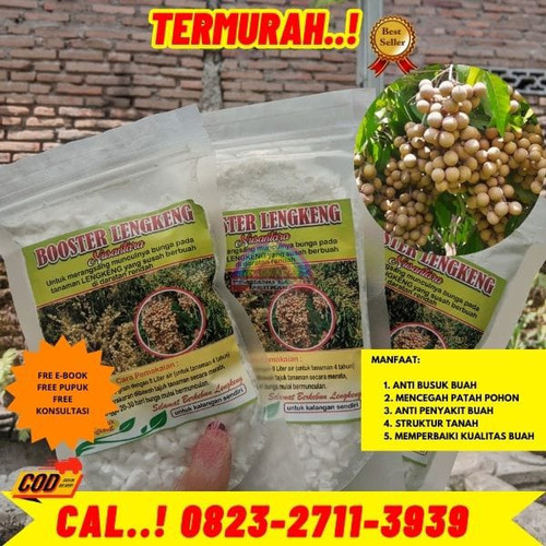 TERMURAH! H.Tovix CALL 0823-2711-3939 Jual Pupuk Kelengkeng Agar Cepat Besar ke Kebumen-Adimulyo-Adi.jpg