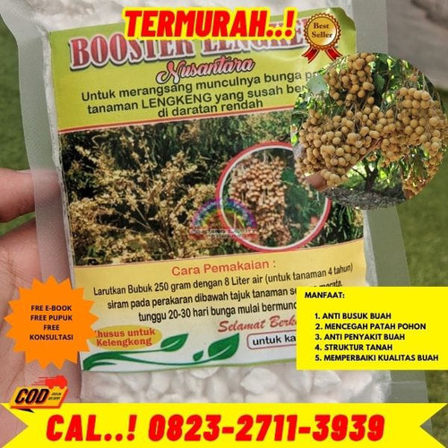 TERLARIS! H.Tovix CALL 0823-2711-3939 Jual Pupuk Kelengkeng Agar Buah Tidak Rontok ke Kebumen-Adimul.jpg