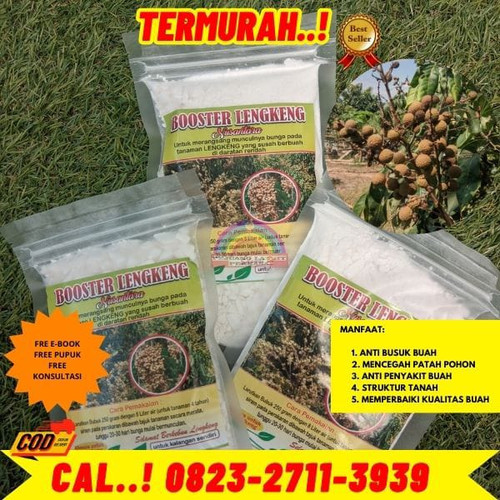 PENJUAL AMANAH! H.Tovix CALL 0823-2711-3939 Jual Pupuk Kelengkeng Agar Berbuah Lebat ke Kebumen-Adim.jpg