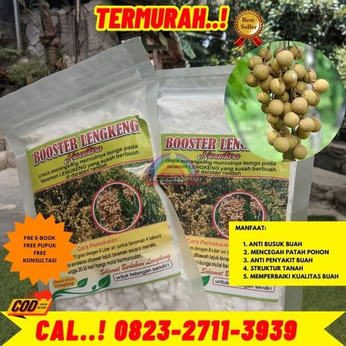 TER-AMPUH ! H.Tovix CALL 0823-2711-3939 Jual Pupuk Kelengkeng Biar Cepat Buah ke Kebumen-Adimulyo-Ar.jpg