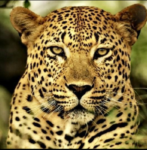 Screenshot 20230703 111202~2.png