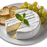 Queso Camember.png