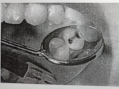 file 948.jpg