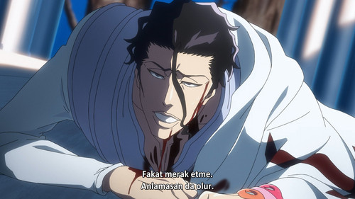 [Nokiya] Bleach Sennen Kessen hen 25.mkv snapshot 08.34.514.jpg