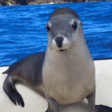 ezgif 5 0507725c52.gif