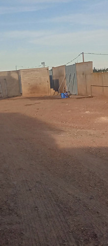 IMG 20231002 174945 927.jpg