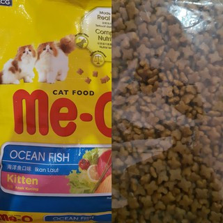 kitten ofish 400.jpg