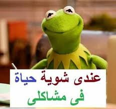 images%2Fimage 1696324646904.jpg