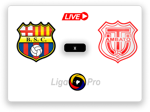 Técnico Universitario.png