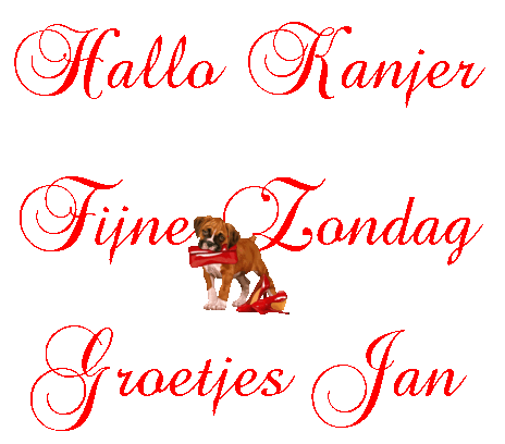 oie overlay (1).gif