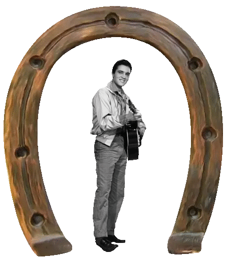 3025756hES6jADc.gif