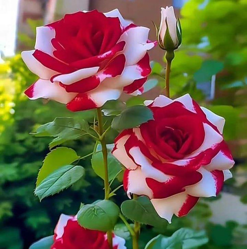 FB IMG 1695930130288.jpg
