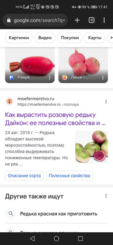 Screenshot 20230930 174118 org.iron.srware.jpg