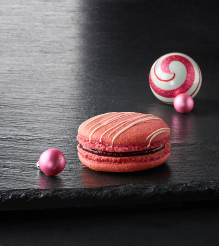 PAUL NOEL 2023111742.jpg