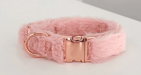 anal princess collar.png