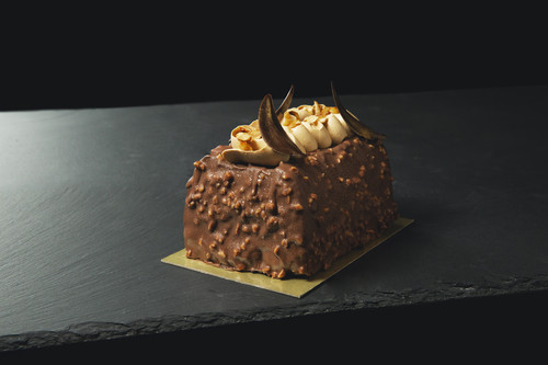 ROCHER LOG 4P.jpg