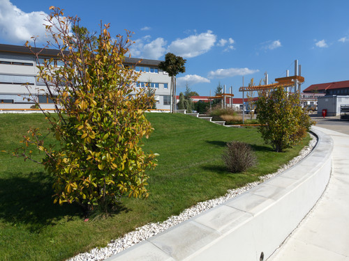 AGC 20230929 124612733.jpg