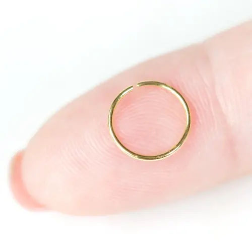 nose ring 10mm 165e39b3 7ccf 4993 a9db 1cb9998f2ace 1500x.webp