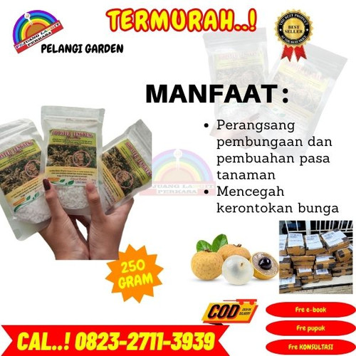 LANGSUNG PABRIK! H.Tovix CALL 0823-2711-3939 Jual Pupuk Kelengkeng Yang Sedang Berbunga ke Kebumen-A.jpg