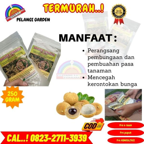 HARGA PABRIK! H.Tovix CALL 0823-2711-3939 Jual Pupuk Kelengkeng Saat Berbunga ke Kebumen-Adimulyo-Ke.jpg